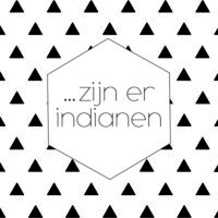 Indiaan - kaartje - Afbeelding 2